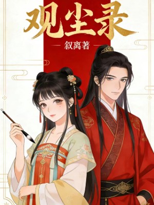 观尘录