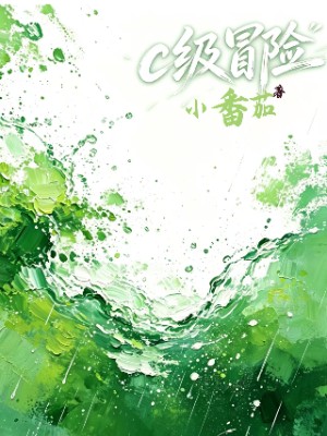 c级冒险