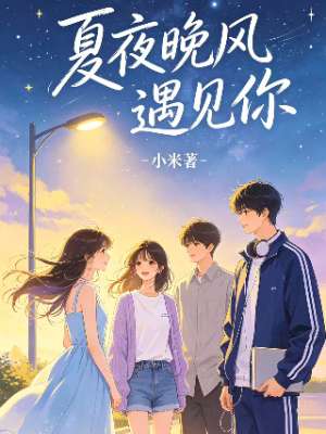 夏夜晚风遇见你