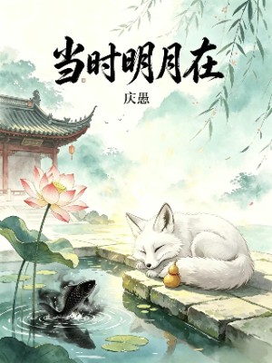 当时明月在