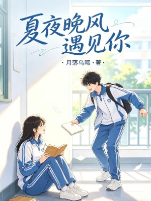 夏夜晚风遇见你
